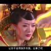 一肖中特期期准全网